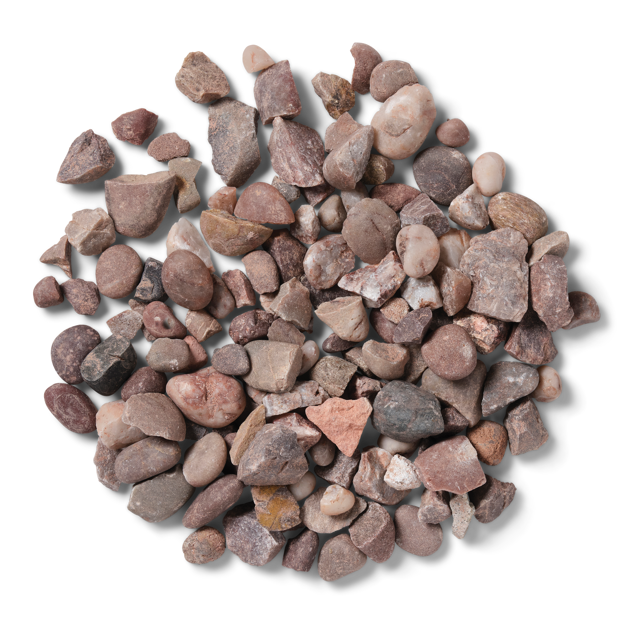 Dusky Pink close-up