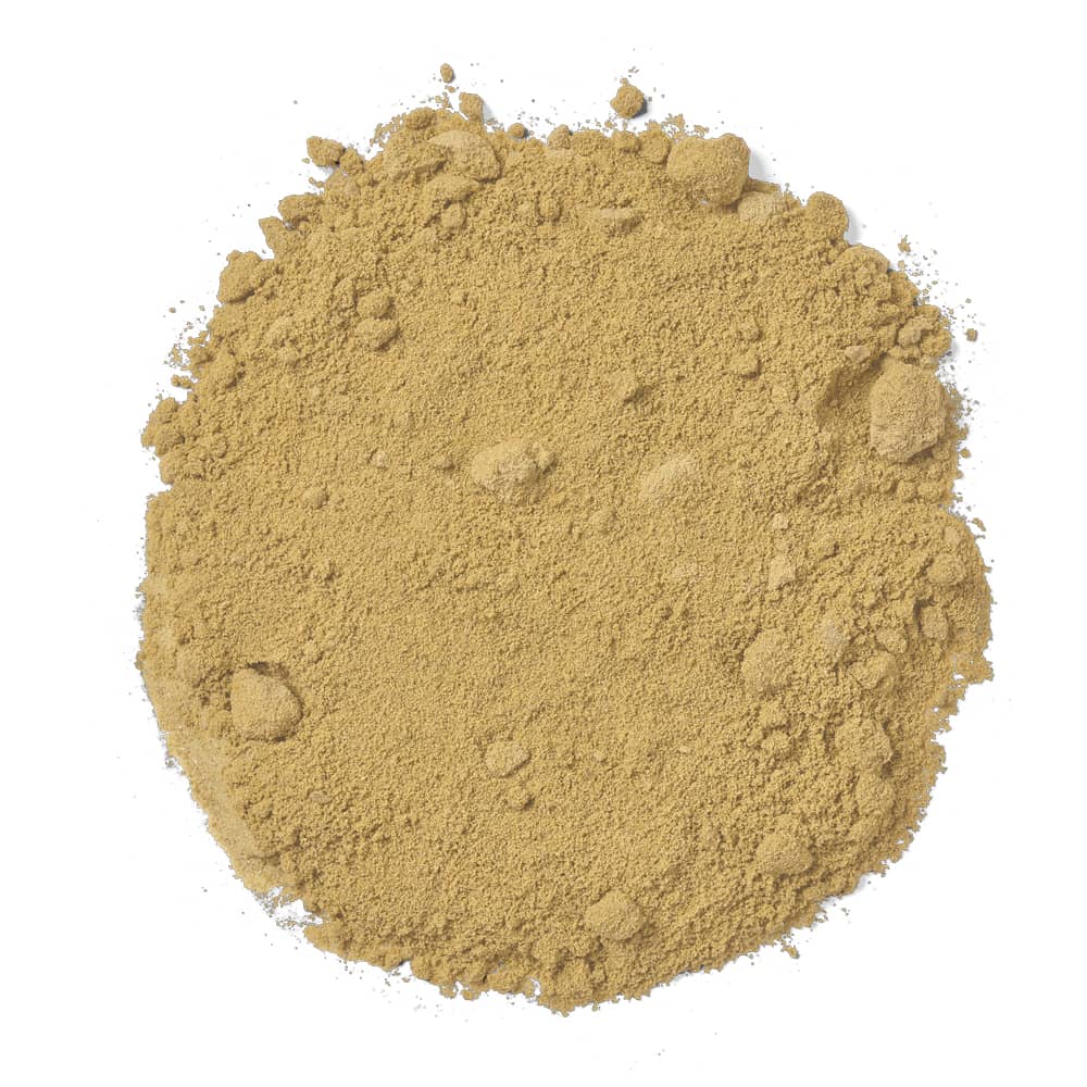 Sharp Sand close-up