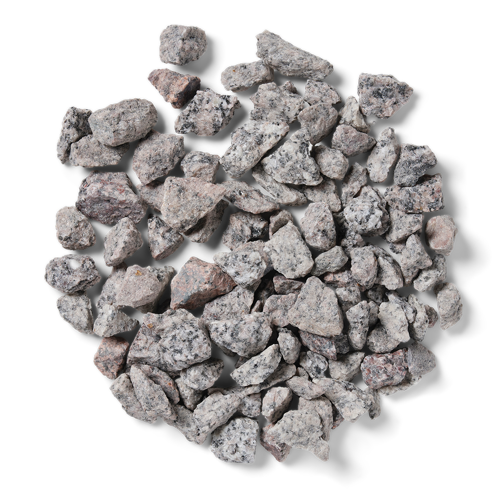 Dappled Silver close-up