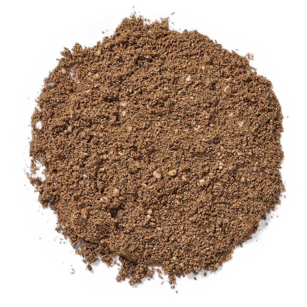 Grit Sand close-up